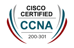 Cisco CCNA 200-301 Logo