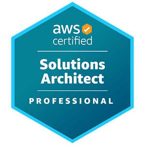 AWS Solutions Architect - Professional Logo
